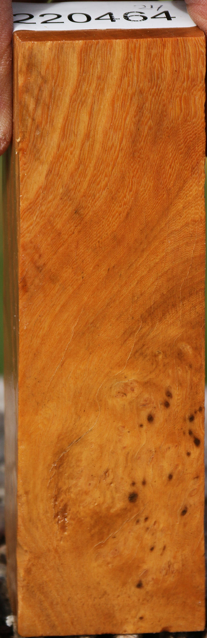 Hopea Stone Burl Turning Blank