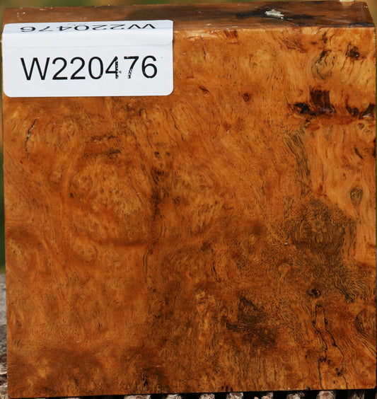 Hopea Stone Burl Bowl Blank