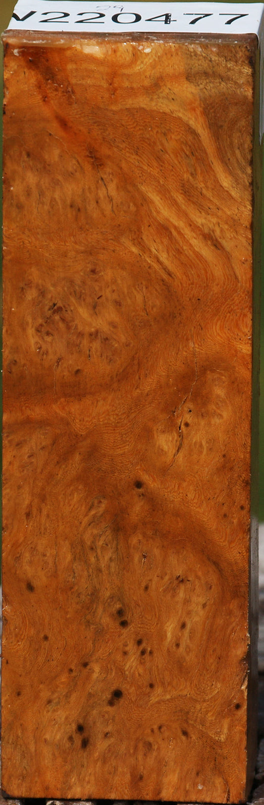 Hopea Stone Burl Turning Blank