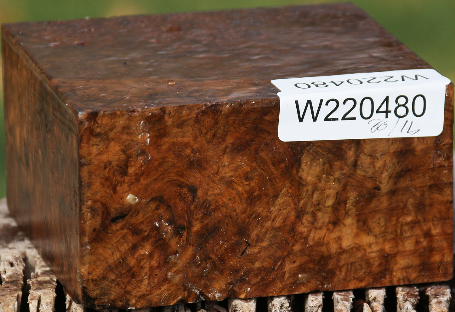 Hopea Stone Burl Bowl Blank