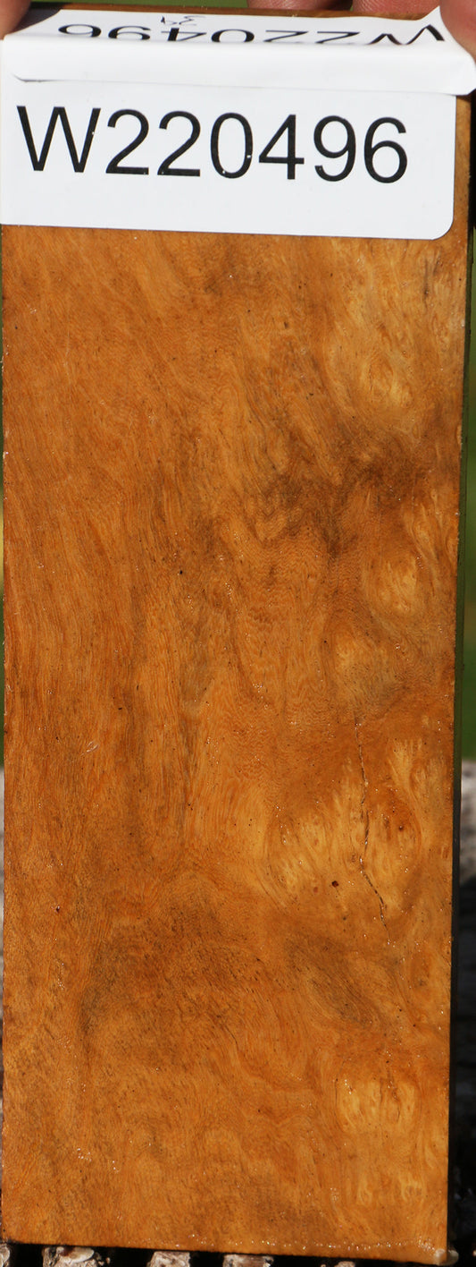 Hopea Stone Burl Lumber