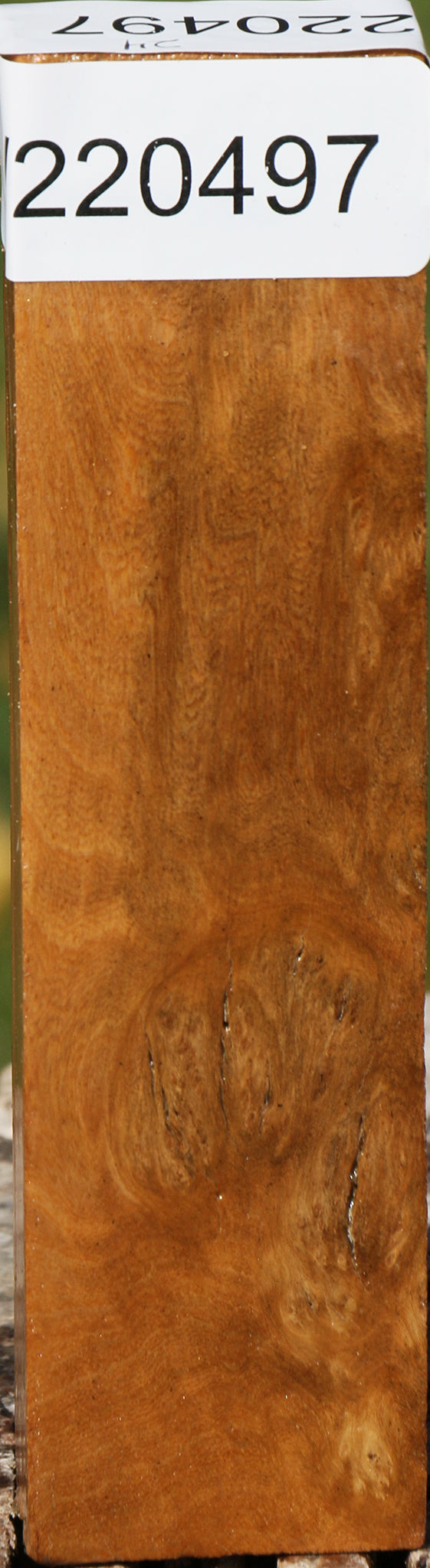 Hopea Stone Burl Lumber