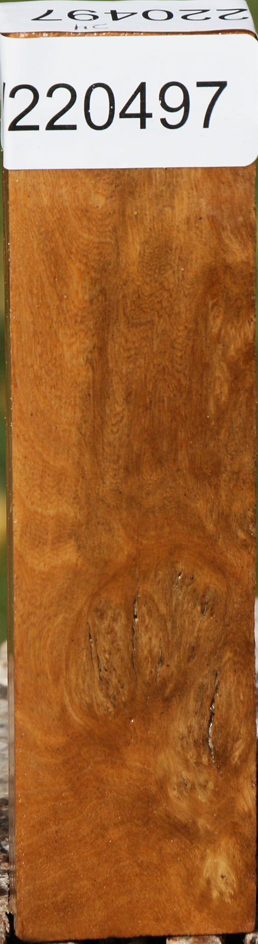 Hopea Stone Burl Lumber