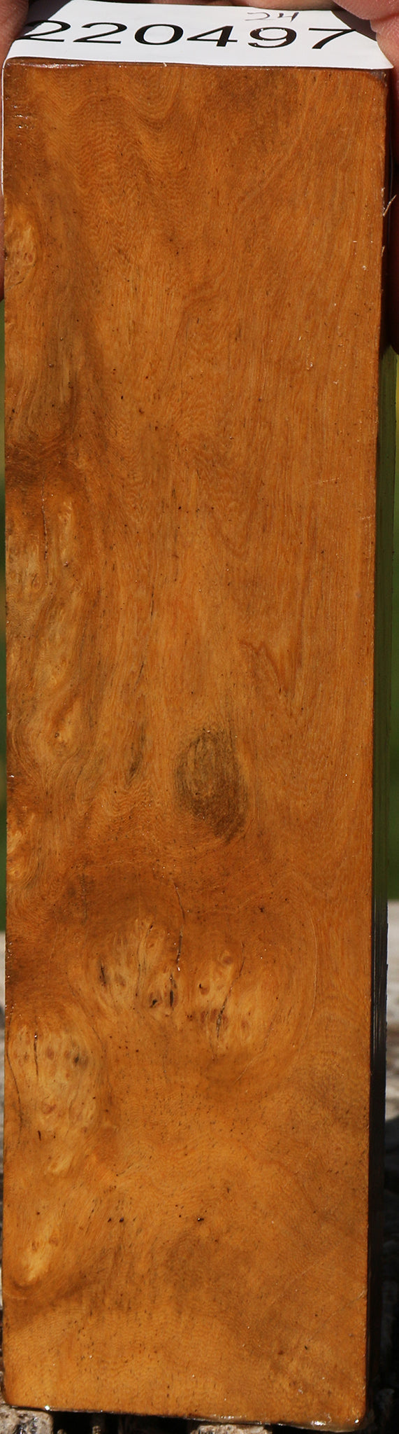 Hopea Stone Burl Lumber