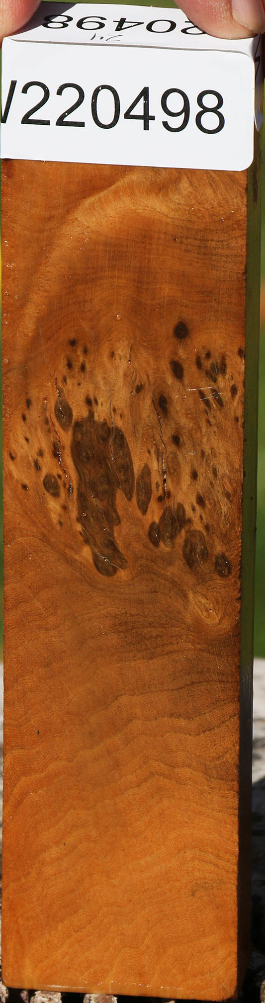 Hopea Stone Burl Lumber