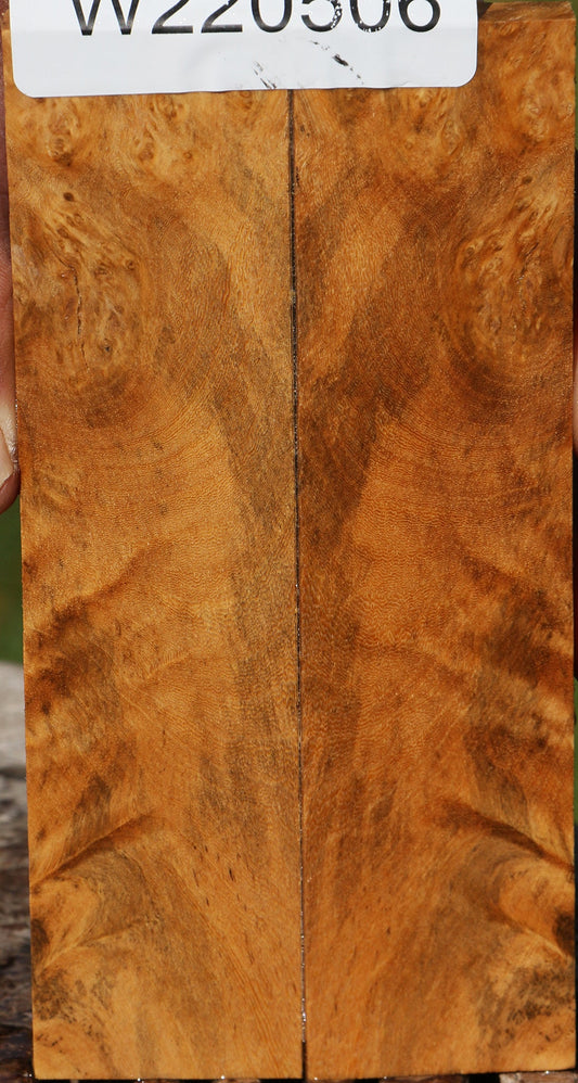 Hopea Stone Burl Knife Scales