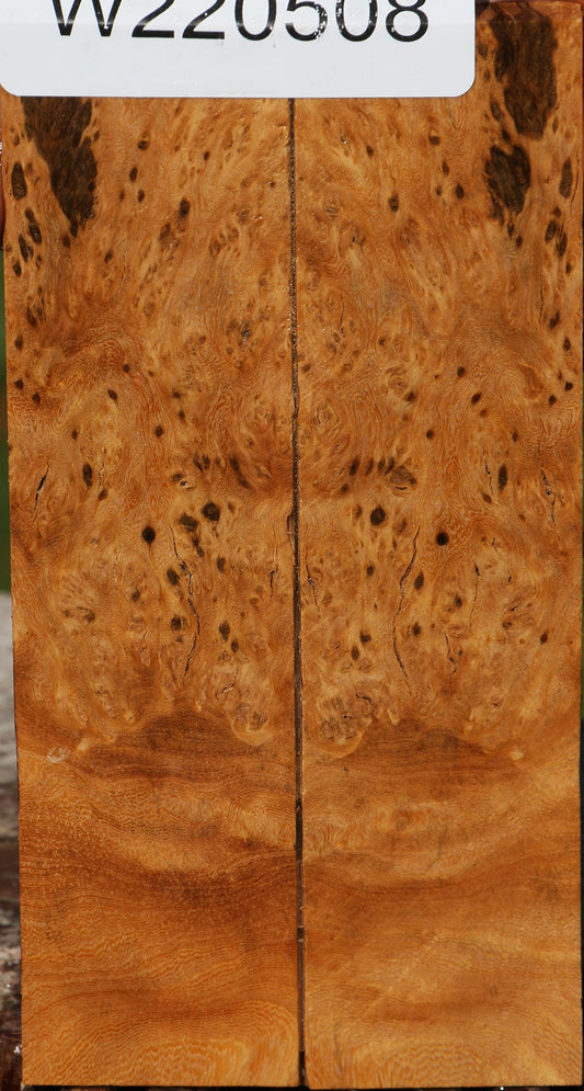 Hopea Stone Burl Knife Scales