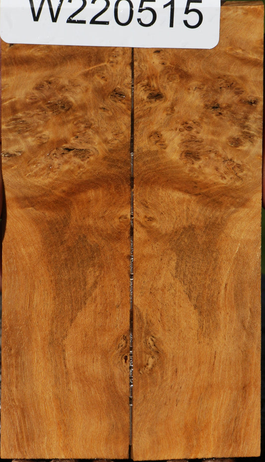 Hopea Stone Burl Knife Scales