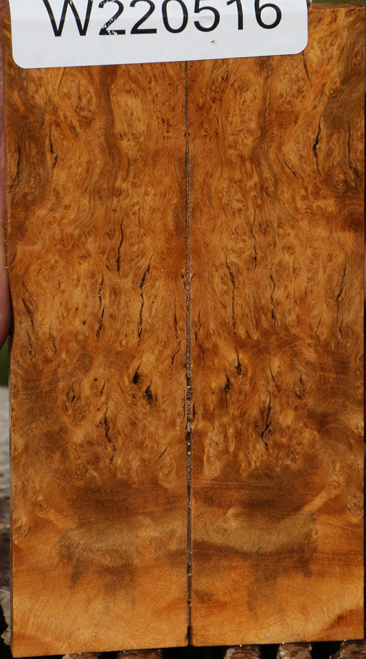 Hopea Stone Burl Knife Scales