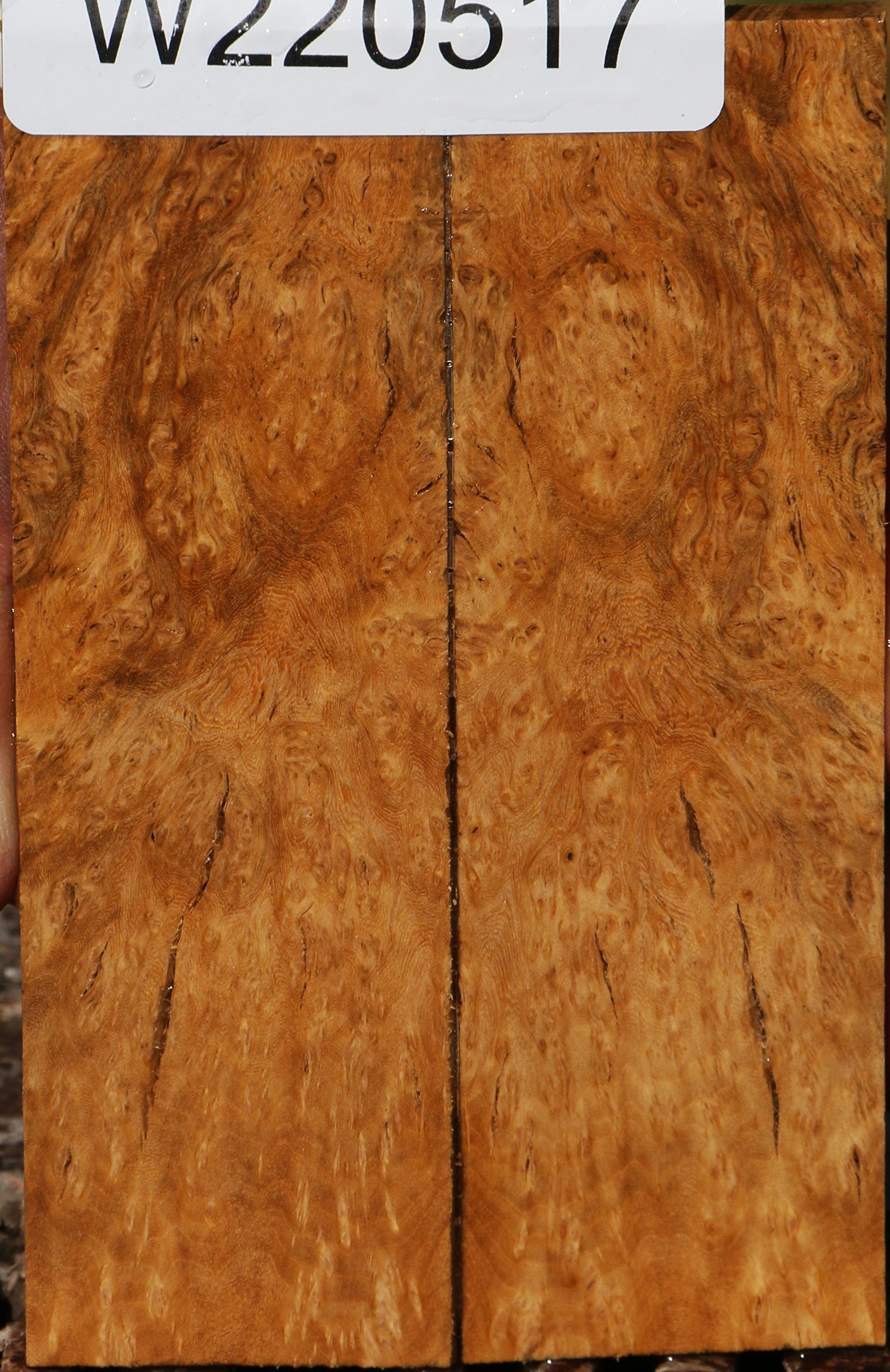 Hopea Stone Burl Knife Scales