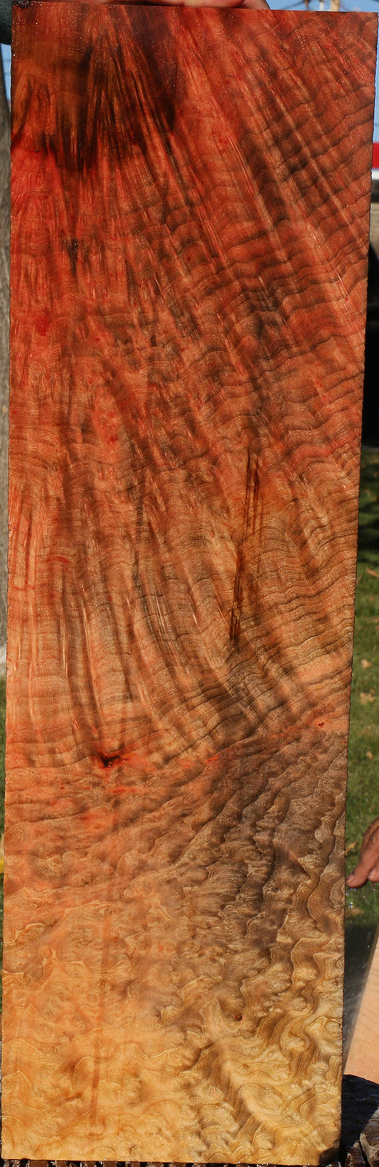 Madrone Burl Lumber