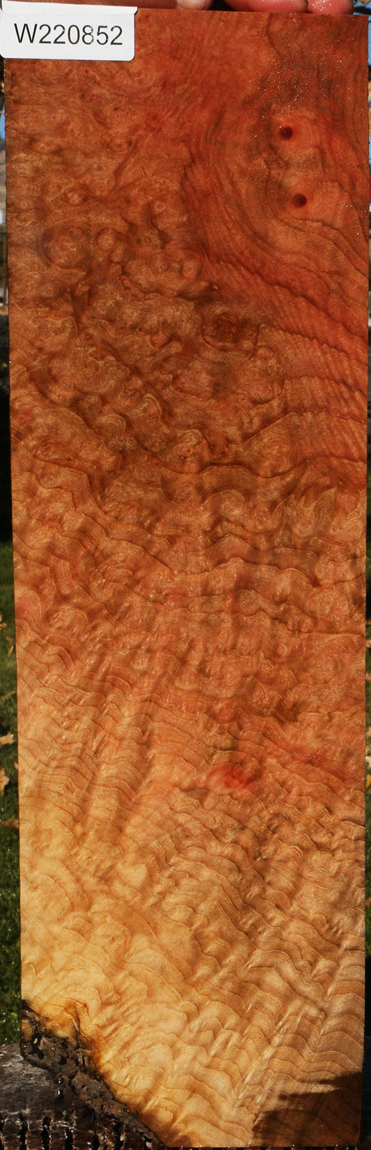 Madrone Burl Lumber
