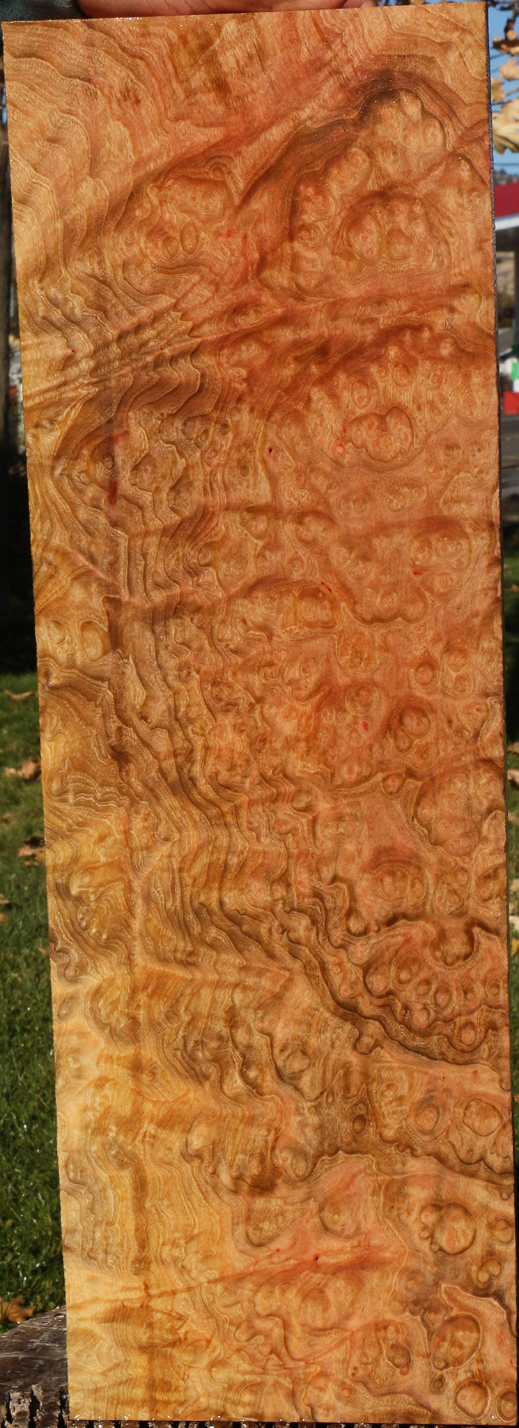 Madrone Burl Lumber