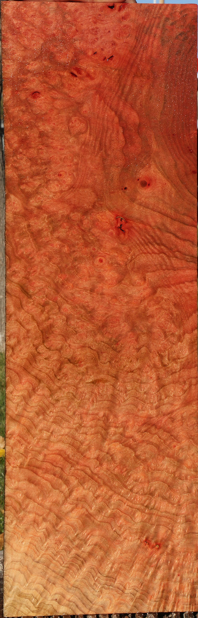 Madrone Burl Instrument Lumber – Cook Woods