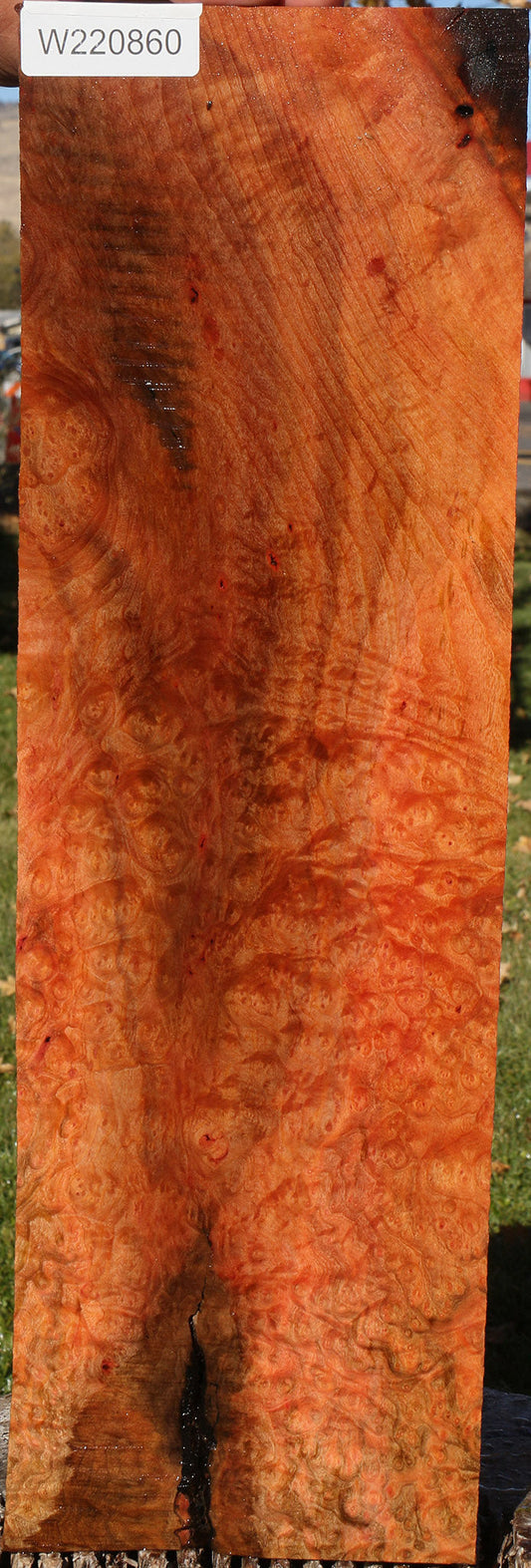 Rustic Madrone Burl Lumber