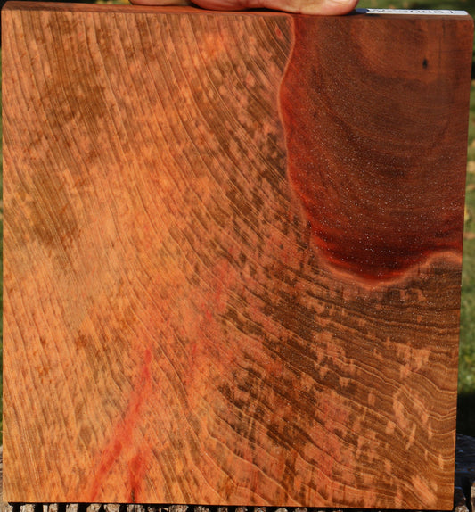 Madrone Burl Lumber