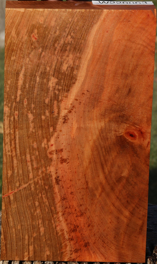 Madrone Burl Lumber
