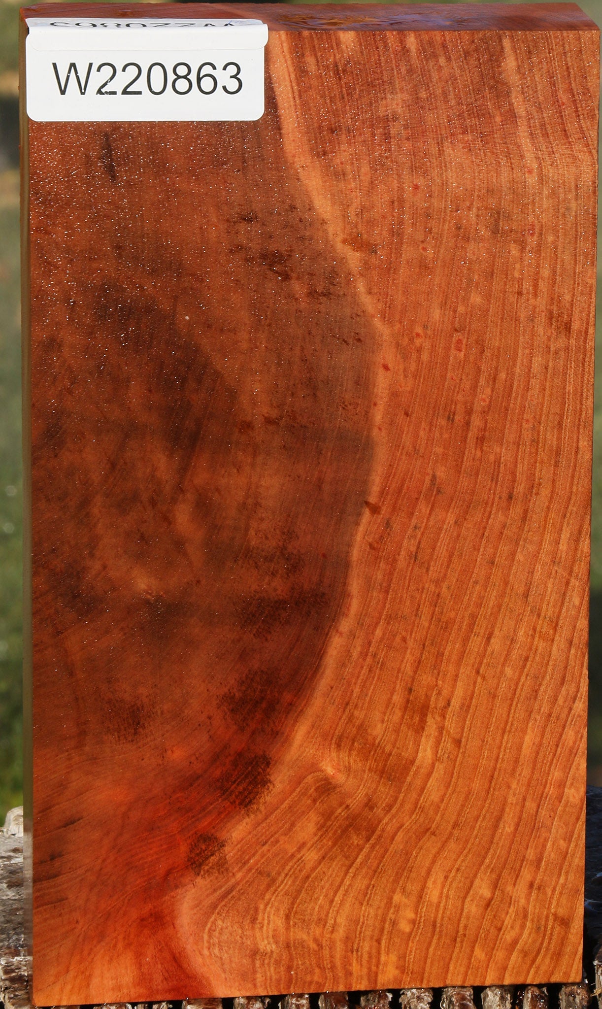 Madrone Burl Lumber