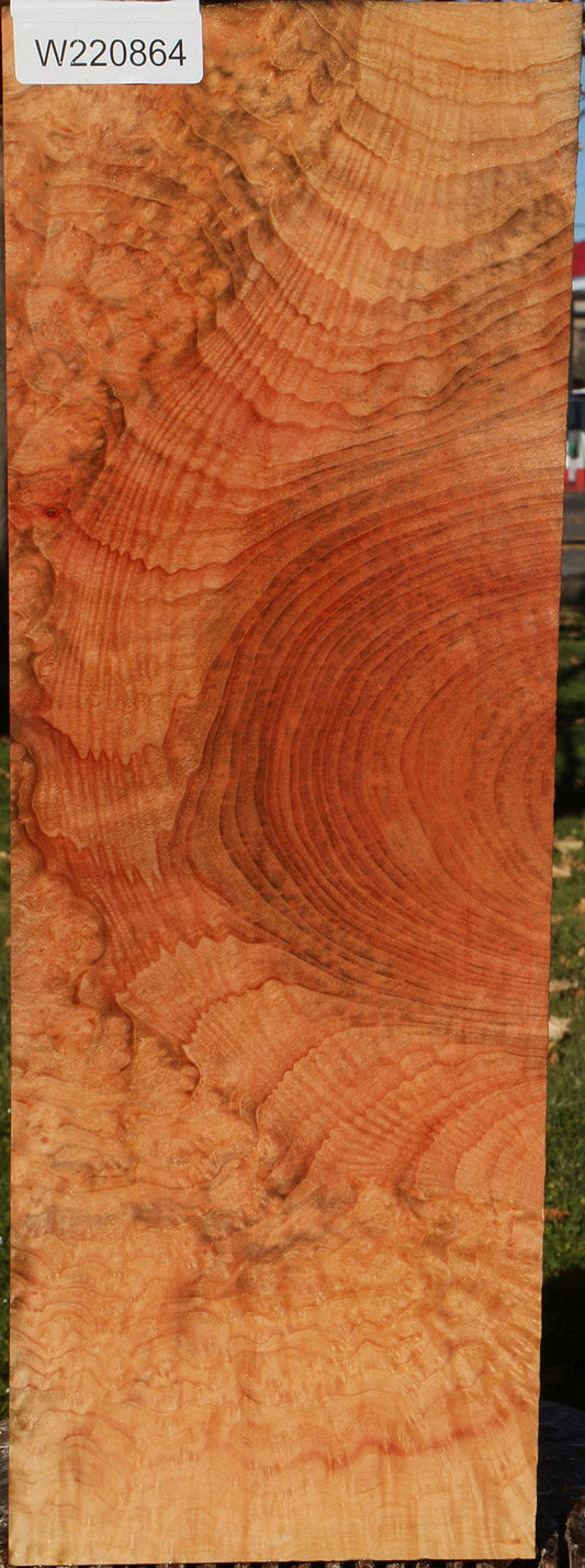 Madrone Burl Lumber