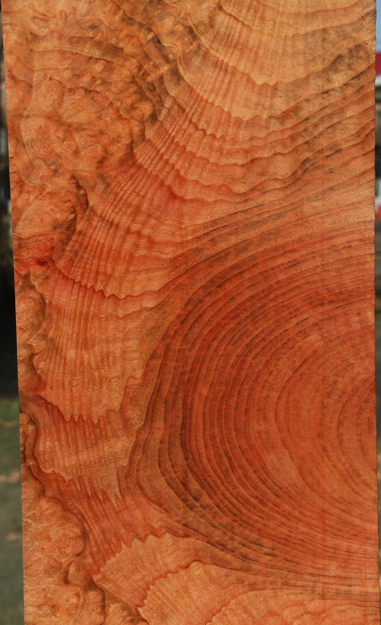 Madrone Burl Lumber