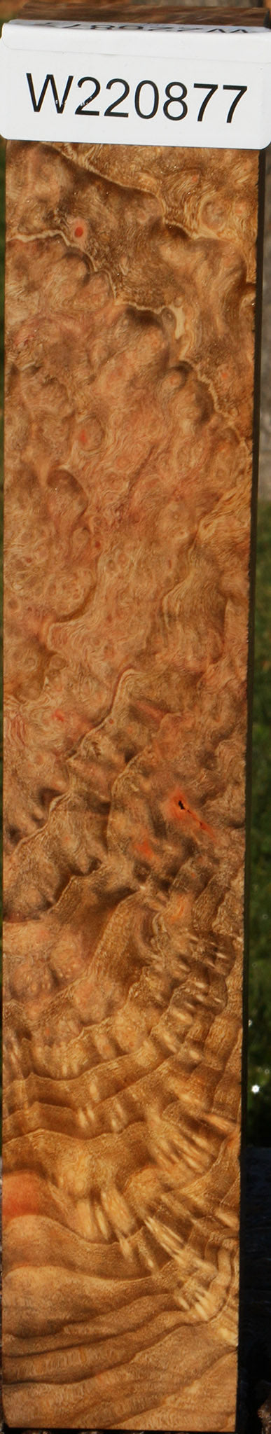 Madrone Burl Turning Square