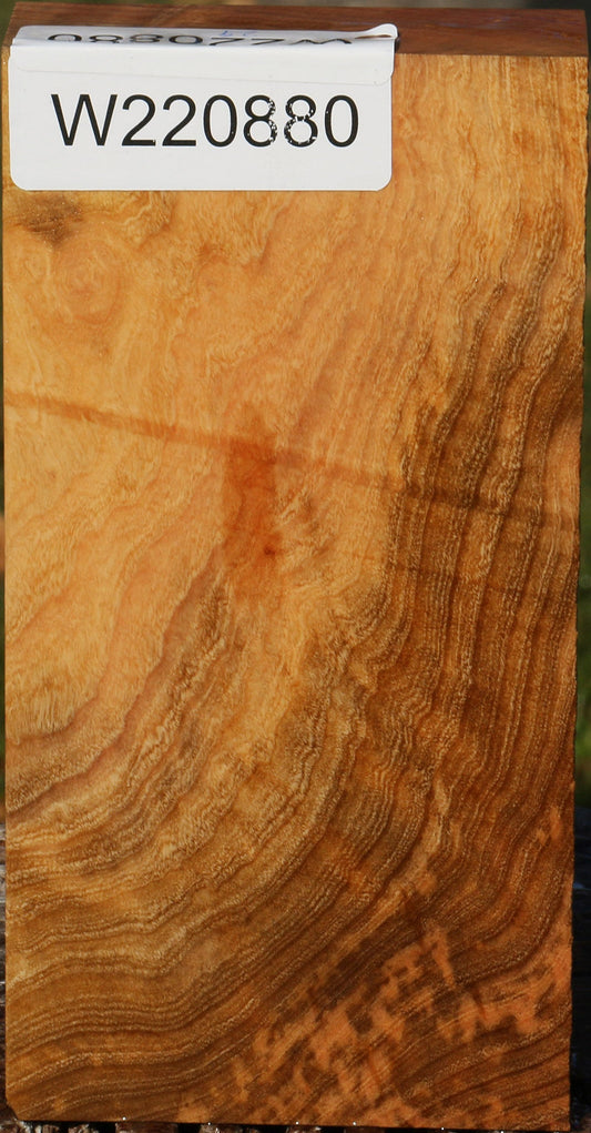 Madrone Burl Lumber