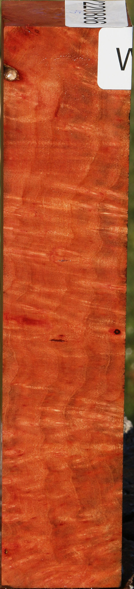 Madrone Burl Turning Square