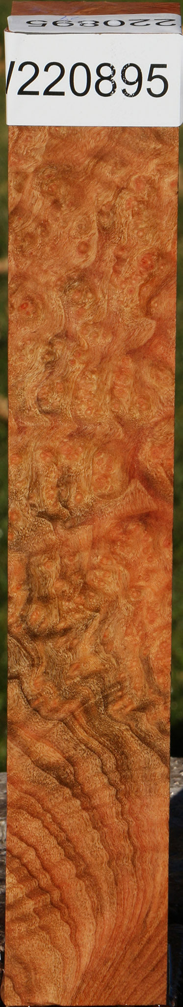 Madrone Burl Turning Square