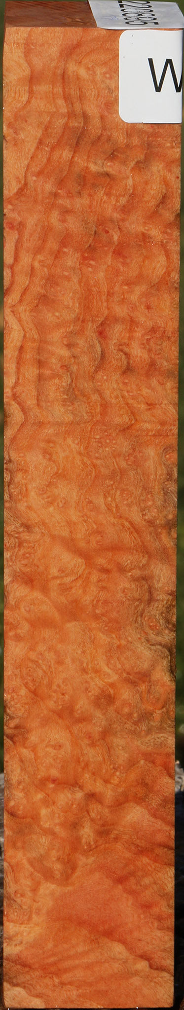 Madrone Burl Turning Square