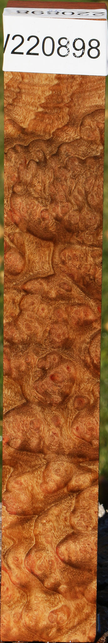 Madrone Burl Turning Square