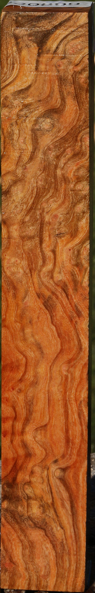Madrone Burl Turning Square