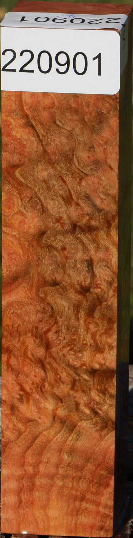 Madrone Burl Turning Square