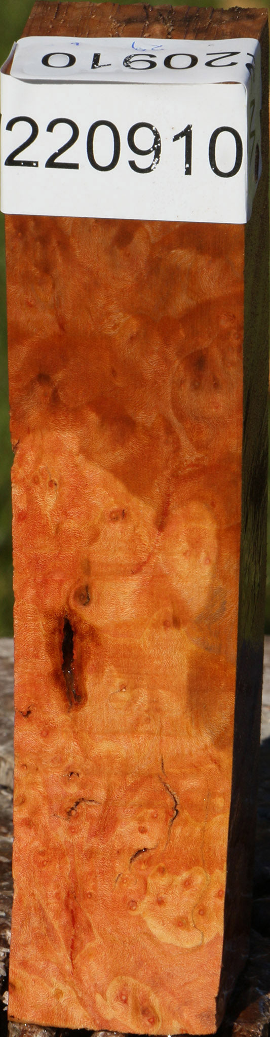 Madrone Burl Turning Square