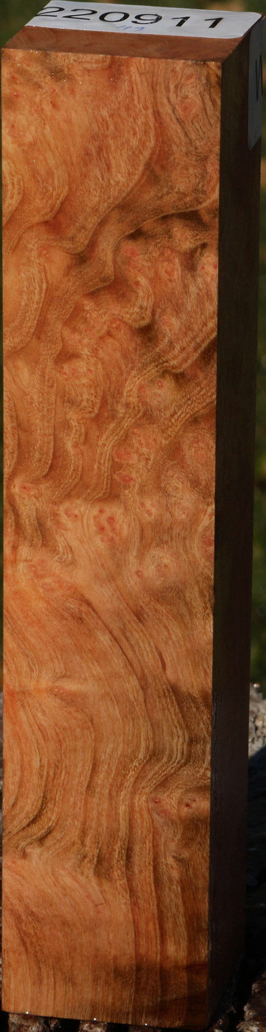 Madrone Burl Turning Square