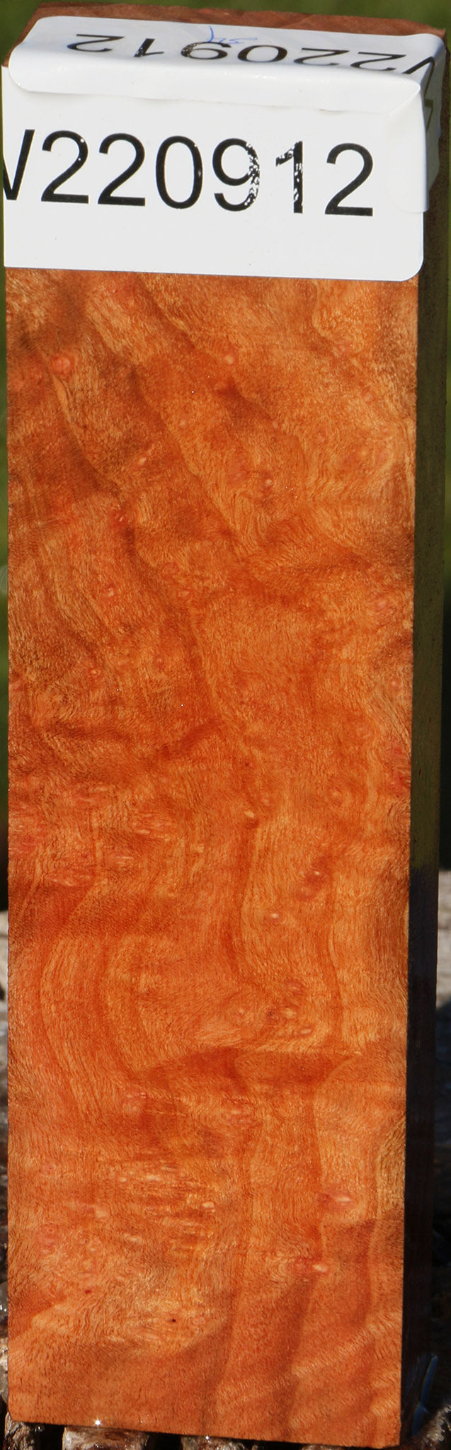 Madrone Burl Lumber