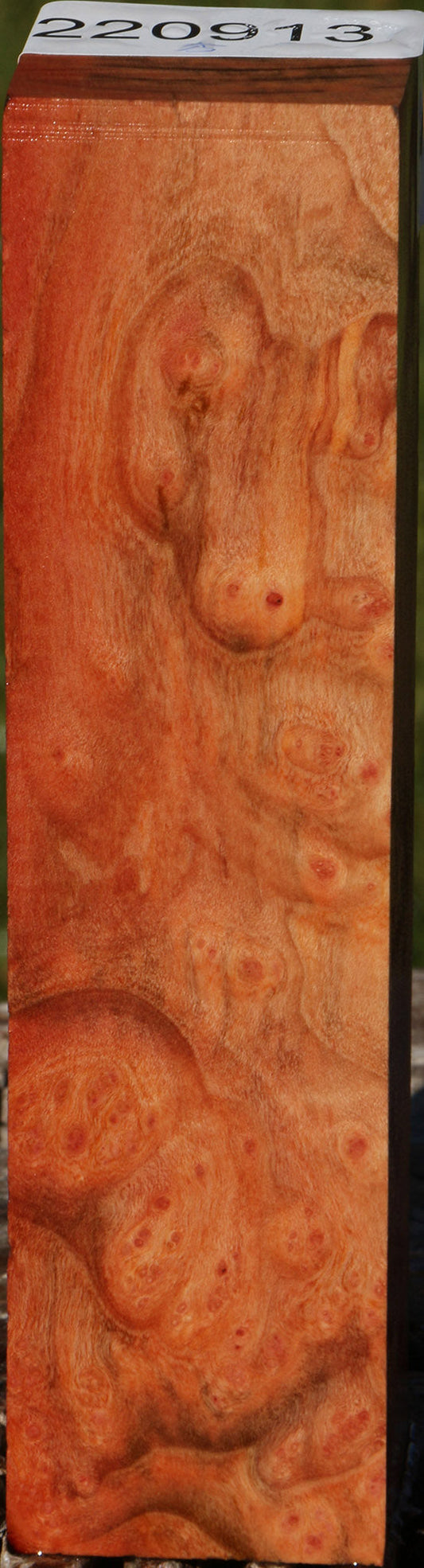 Madrone Burl Turning Square