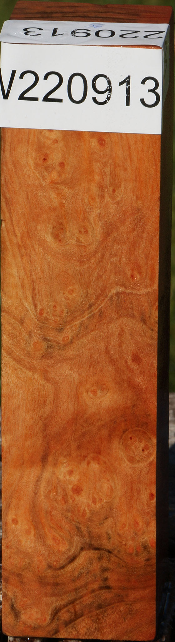 Madrone Burl Turning Square