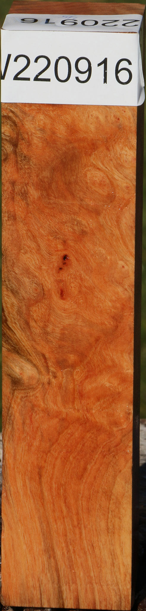 Madrone Burl Turning Square