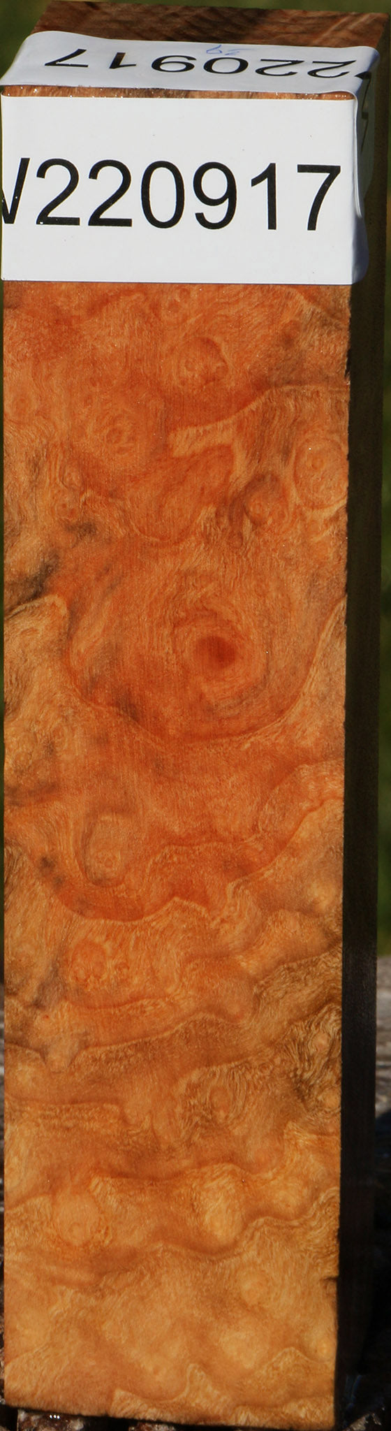 Madrone Burl Turning Square