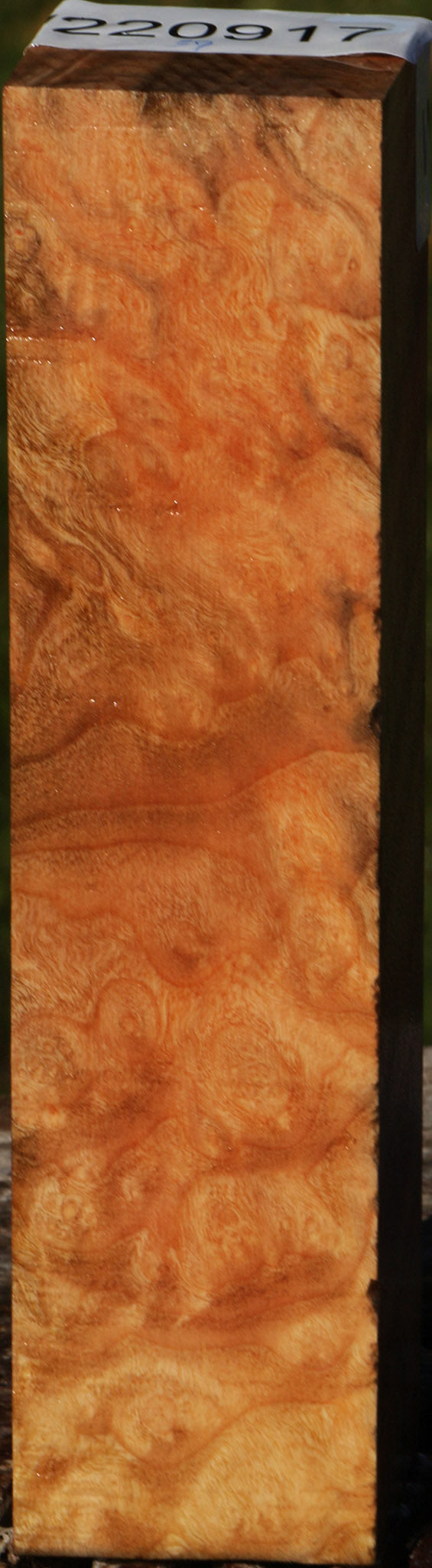 Madrone Burl Turning Square