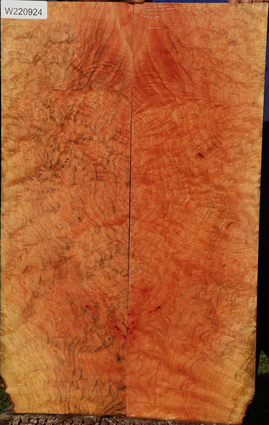 Madrone Burl Bookmatched Micro Lumber