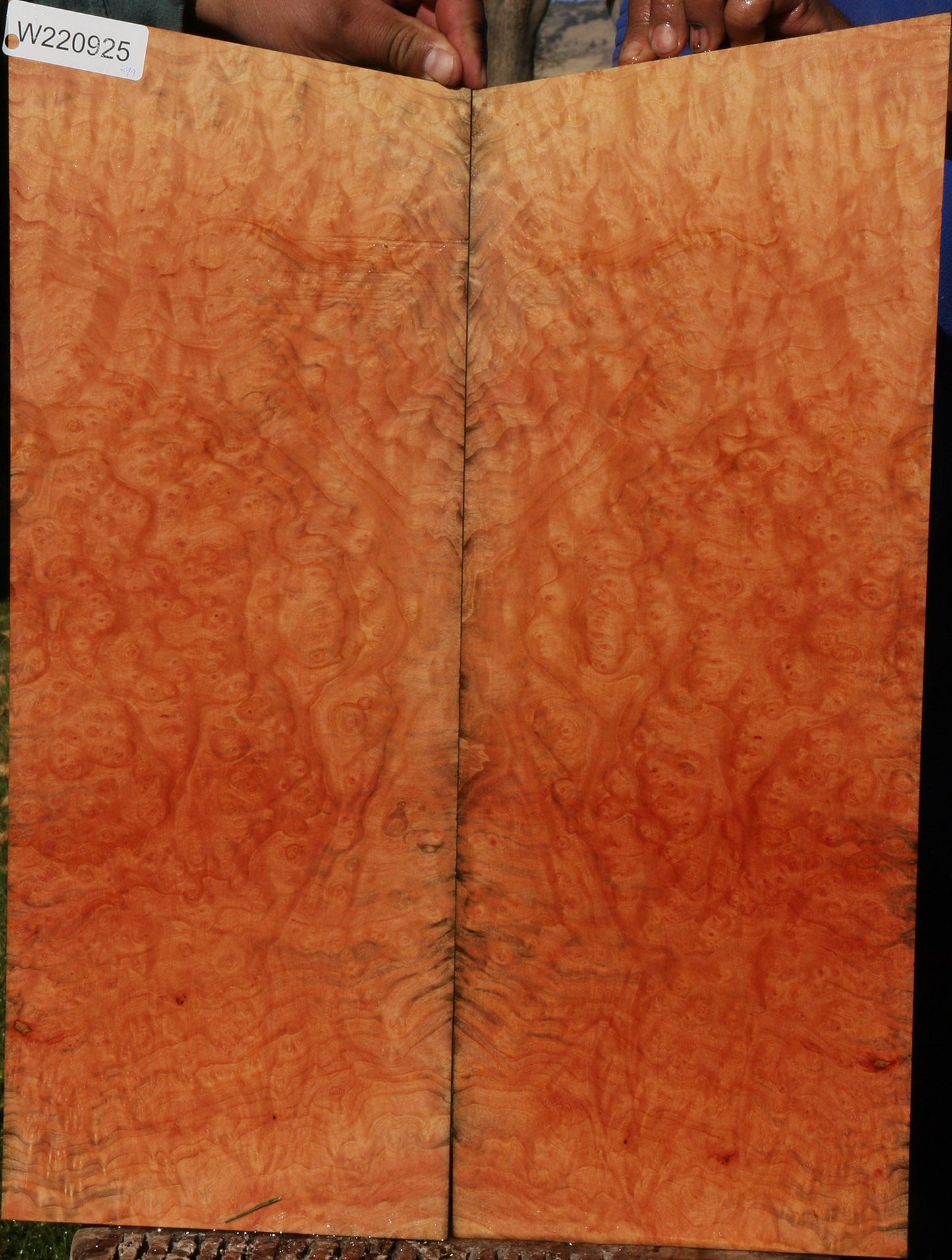 Madrone Burl Bookmatched Micro Lumber