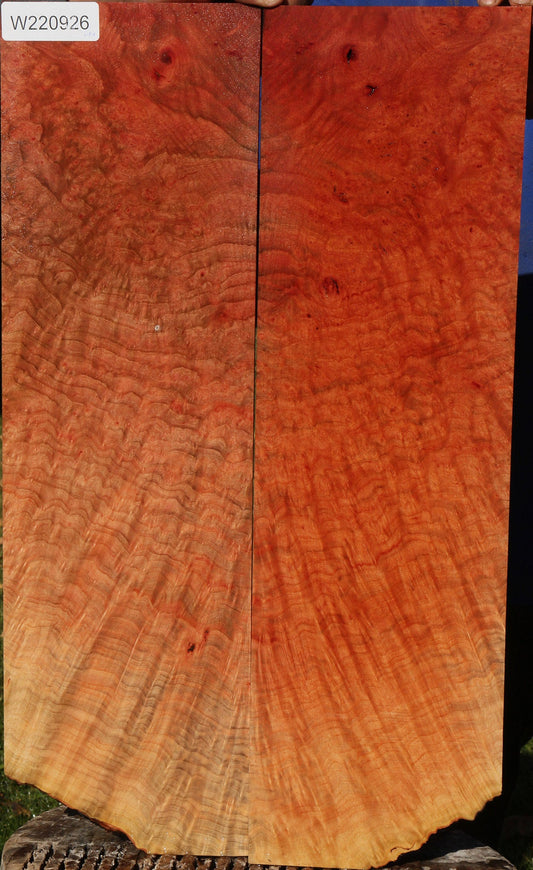 Madrone Burl Bookmatched Micro Lumber