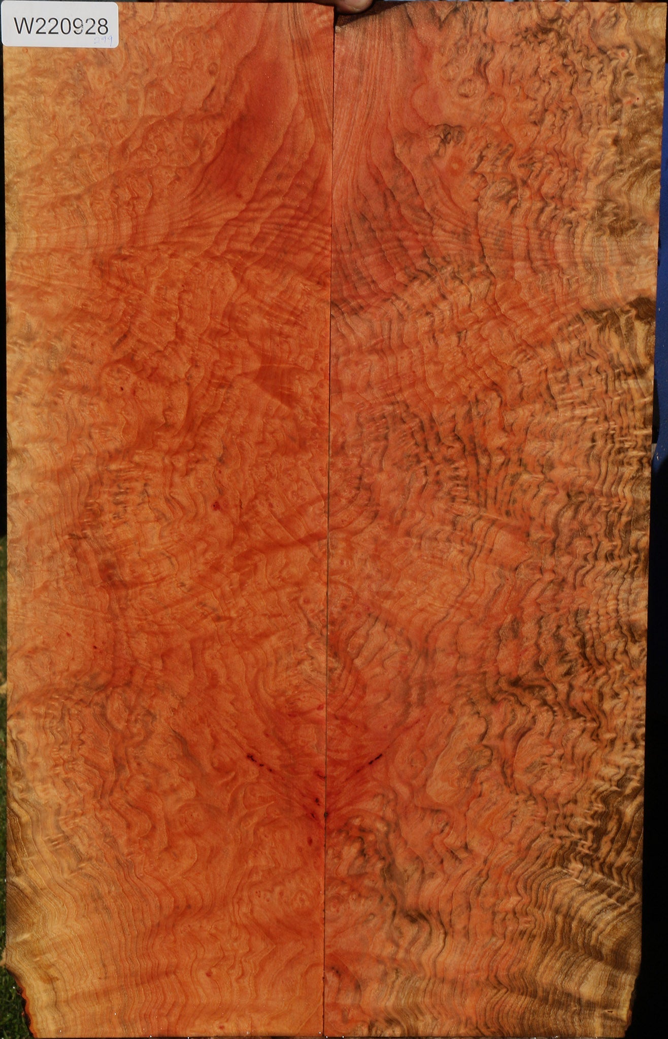 Madrone Burl Bookmatched Micro Lumber
