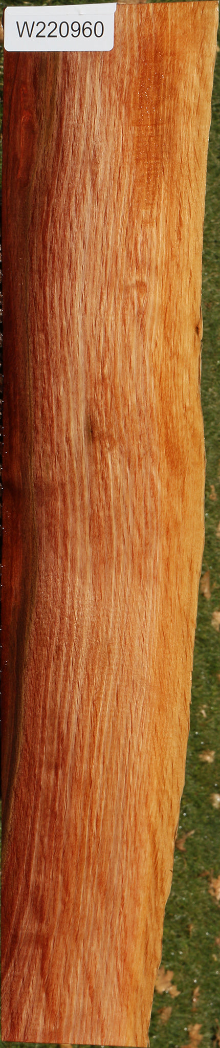 Beefwood Live Edge Lumber