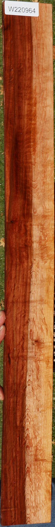 Extra Fancy Beefwood Micro Lumber