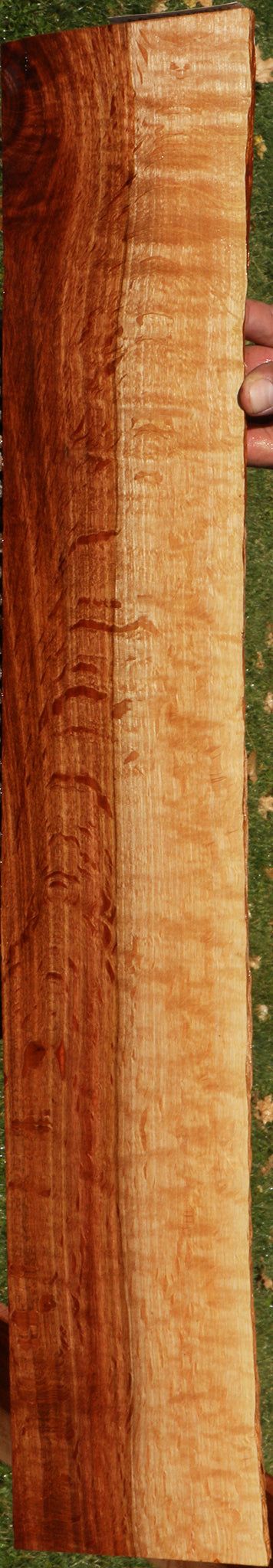 Beefwood Live Edge Micro Lumber