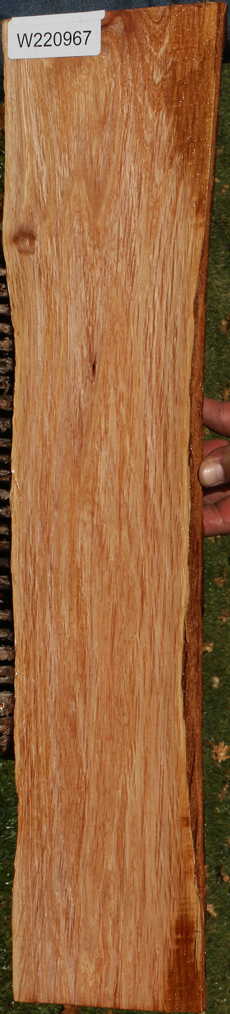 Beefwood Live Edge Lumber