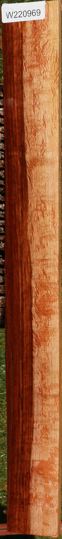 Beefwood Micro Lumber