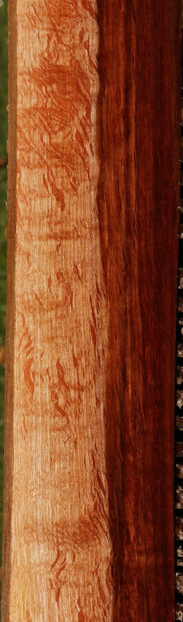 Beefwood Micro Lumber